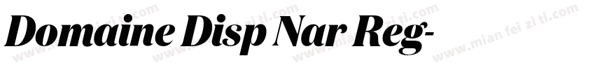 Domaine Disp Nar Reg字体转换